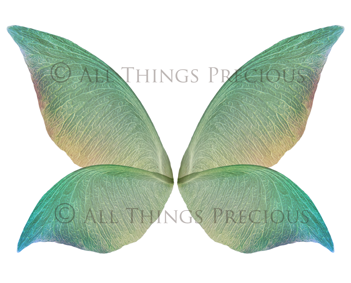 Digital Fairy Wings Overlays clipart. Png transparent see through files for photoshop. Butterfly Angel, Color, Print Photography editing. High resolution, 300dpi. Printable, Photography Graphic design assets, add on stock resources. Magical Scrapbooking design. Faery Photographer edit. Colorful Big Bundle. ATP Textures